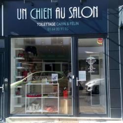 Un Chien Au Salon