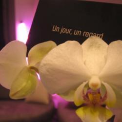 Un Jour, Un Regard