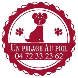 Un Pelage Au Poil