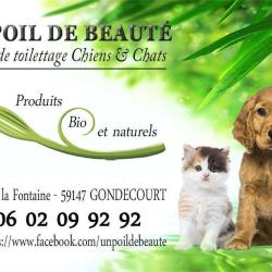 Un Poil De Beaute