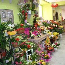 Une Histoire De Fleurs