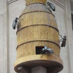 Union Nle De L'apiculture Française