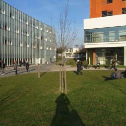 Université Paris 8