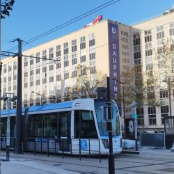 Université Paris Dauphine-psl