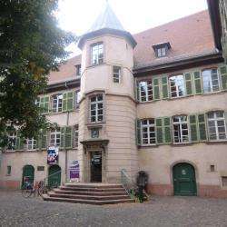 Université Populaire