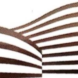 Urban Design Associates
