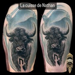 Urban Design Tatouage Piercing