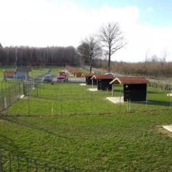 Vacances Pour Chiens