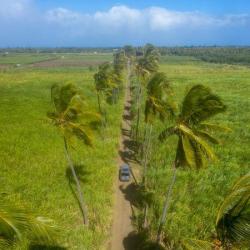 Van-away La Réunion - Location De Vans Aménagés Et Voitures