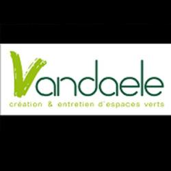 Vandaele David