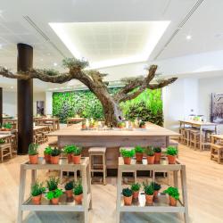 Vapiano Disney