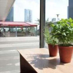Vapiano La Défense