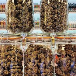 Vapo'chill I Bléré Cigarette électronique & Cbd I