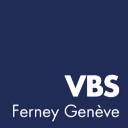 Vbs Ferney Geneve - Voltaire Business School