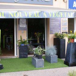 Vegetal Fleurs Et Jardins