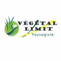Vegetal Limit