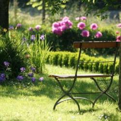 Vegetal Services