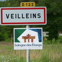 Veilleins