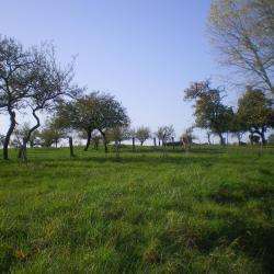 Velaine Sous Amance