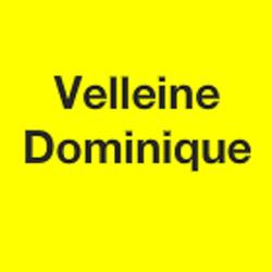 Velleine Dominique