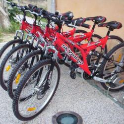 Velogenie, Location De Vélos