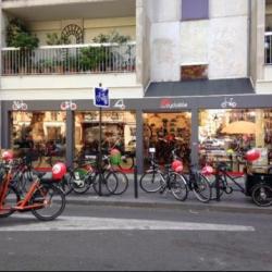 Velovia