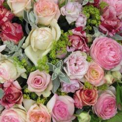 Venet Philippe Roses De Paris.com