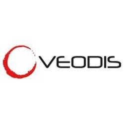 Veodis Group