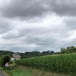 Verdelot
