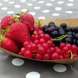 Verger O'ty Fruits