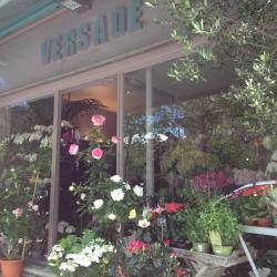 Versade Fleurs