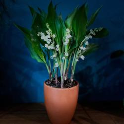 Versade Fleurs