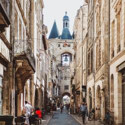 Vert Bordeaux - Wine Tours & Guided Tours