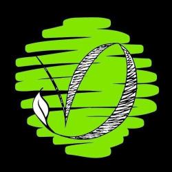 Vert Design