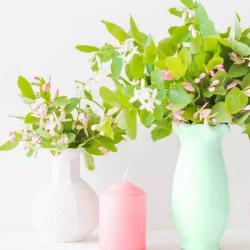 Vert Tige Des Fleurs