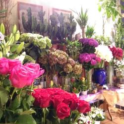Vertiges Fleurs