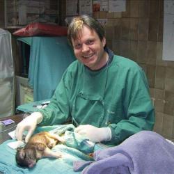Clinique Veterinaire De La Versoie