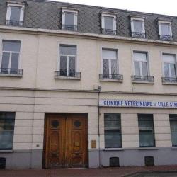 Vétérinaire De Lille Saint-maurice