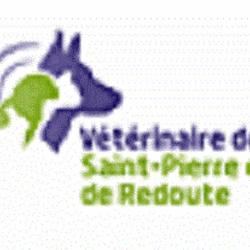 Vétérinaire De Redoute