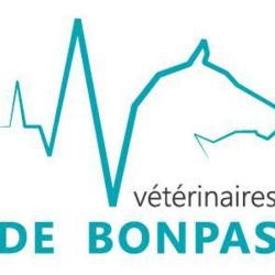 Vétérinaires De Bonpas