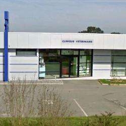 Veterinaires De Malestroit