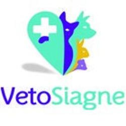 Vetosiagne