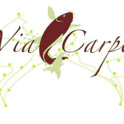 Via Carpes