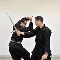Viet Vo Dao Thanh Long Montpellier