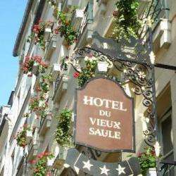 Hôtel Du Vieux Saule