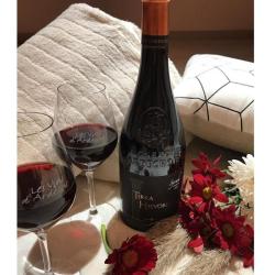 Maison Des Vignerons Ardechois