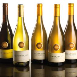 Vignerons Des Terres Secrètes - Cave De Prissé