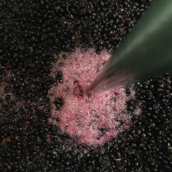 Vignoble Des 2 Lunes