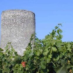 Vignobles Antoine Bonneaud
