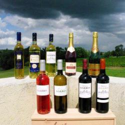 Vignobles David Garbes